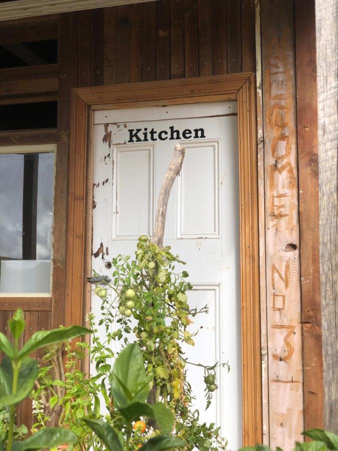 No 3 @ Bed In A Shed B&Bs Watervale Εξωτερικό φωτογραφία
