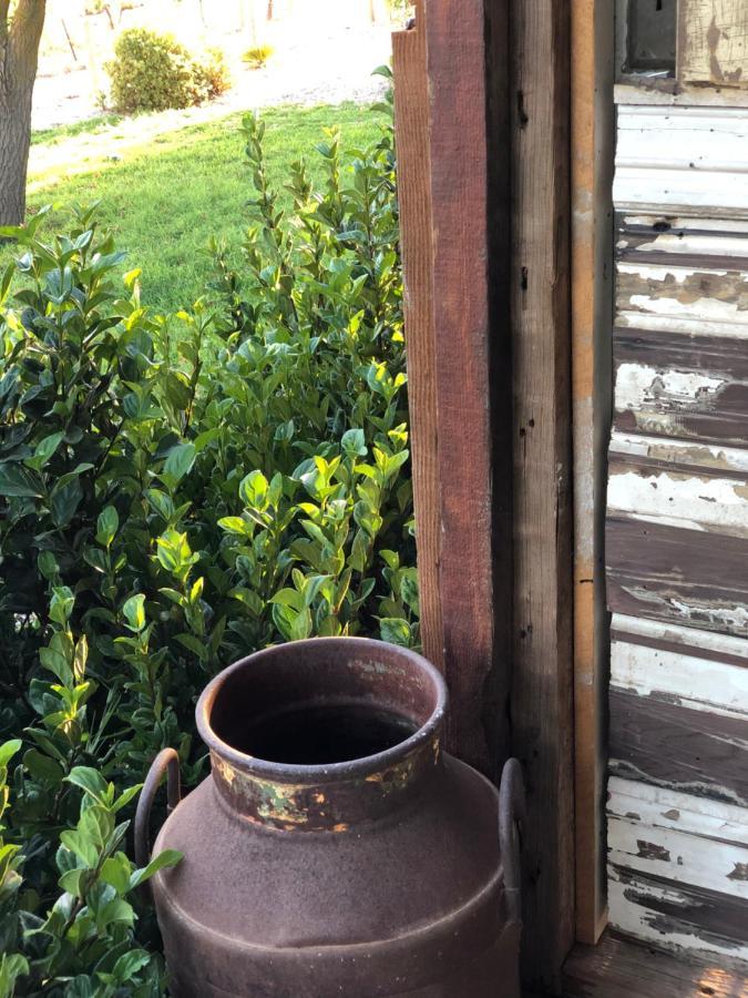 No 3 @ Bed In A Shed B&Bs Watervale Εξωτερικό φωτογραφία